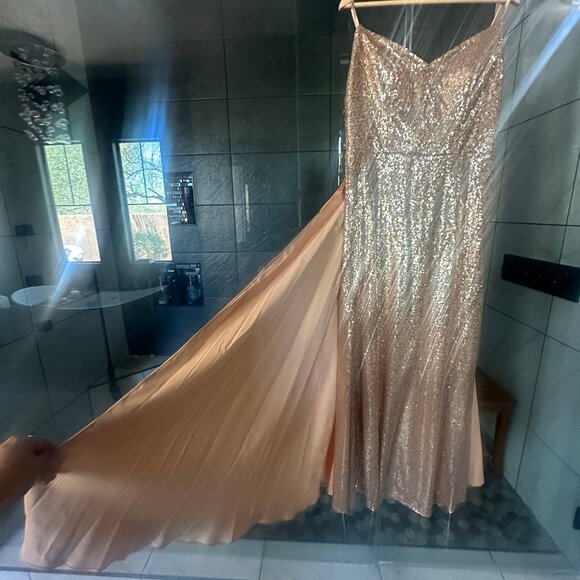 Chiclody Formal Evening Sequin Dress Champagne Slip Satin Train Gown - Picture 3 of 9